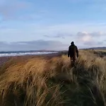 Madra Rua Organic 발리리핀