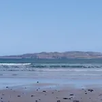 Madra Rua Organic Ballyliffin