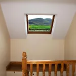 Alojamento de Acomodação e Pequeno-almoço Madra Rua Organic Ballyliffin