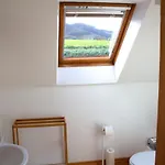 Madra Rua Organic