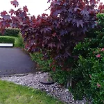Madra Rua Organic Bed & Breakfast 3*