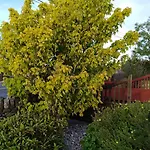 Madra Rua Organic Bed & Breakfast