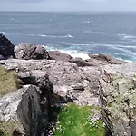 Madra Rua Organic Ballyliffin