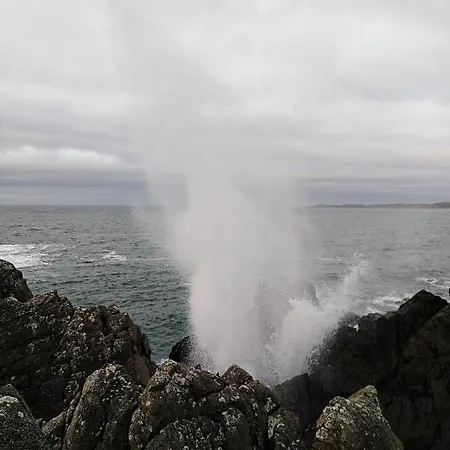 Nocleg ze śniadaniem Madra Rua Organic