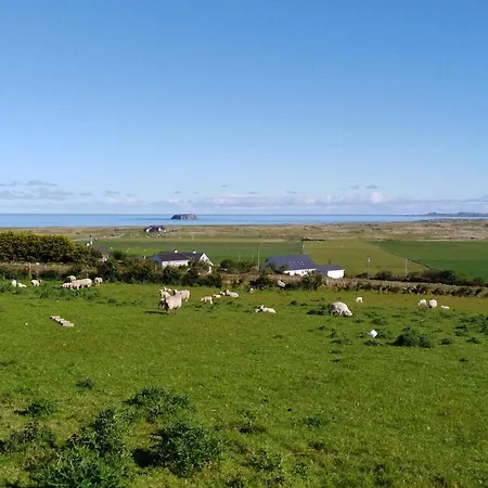 住宿加早餐酒店 Madra Rua Organic 3*