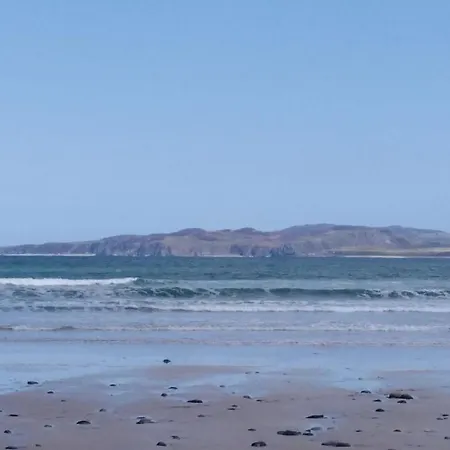Madra Rua Organic Ballyliffin
