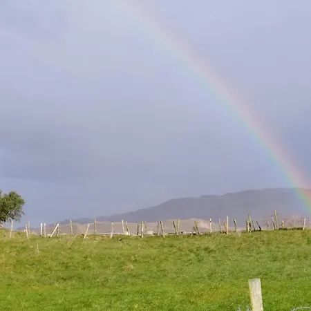Madra Rua Organic Ballyliffin
