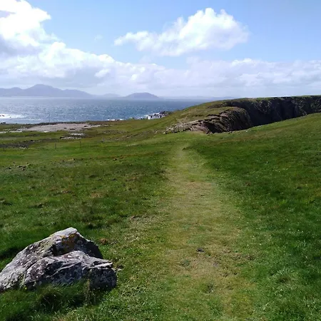 Madra Rua Organic Ballyliffin