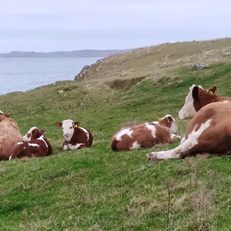 Alojamento de Acomodação e Pequeno-almoço Madra Rua Organic Ballyliffin