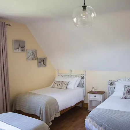 Madra Rua Organic 3* Ballyliffin