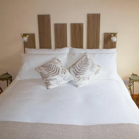 Madra Rua Organic 3*