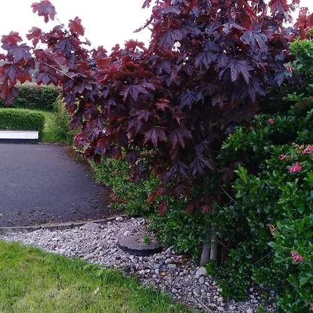 Madra Rua Organic 住宿加早餐酒店 3*