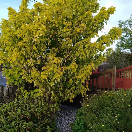 Madra Rua Organic 住宿加早餐酒店