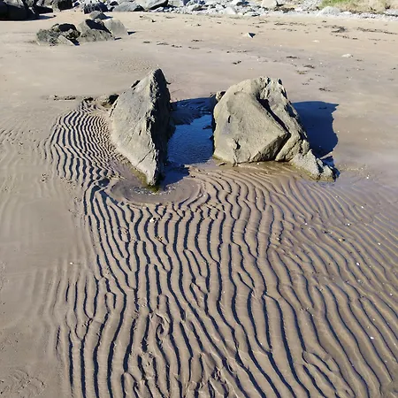 Madra Rua Organic 3*