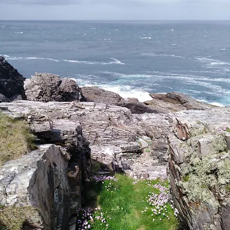 Madra Rua Organic 巴利利芬