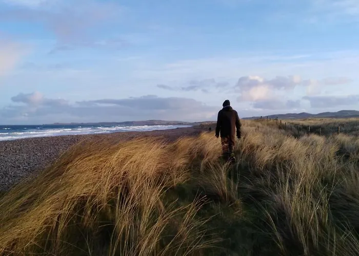 Madra Rua Organic Ballyliffin