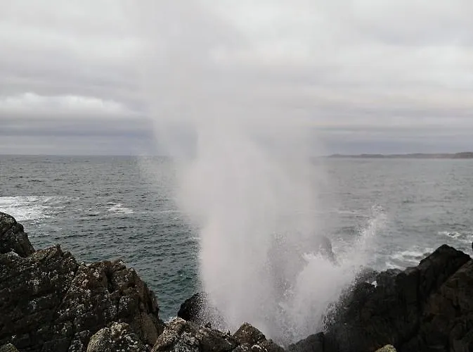 Frühstückspension Madra Rua Organic