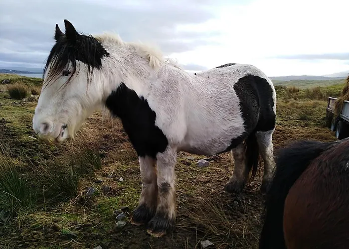 Madra Rua Organic לינה וארוחת בוקר