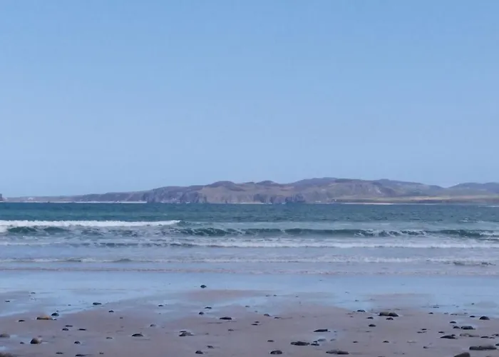 Madra Rua Organic Ballyliffin