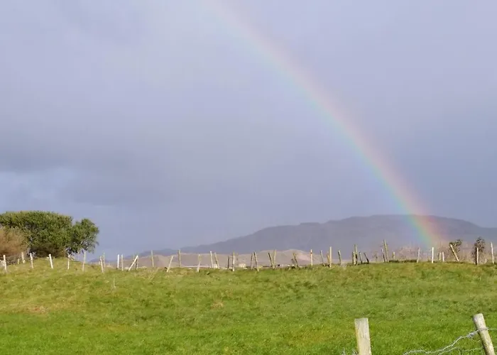 Madra Rua Organic בליליפין