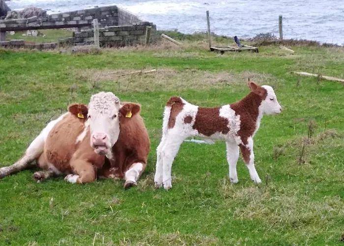 Frühstückspension Madra Rua Organic Ballyliffin