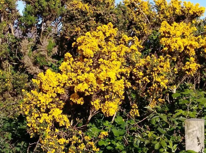 Madra Rua Organic Frühstückspension 3*