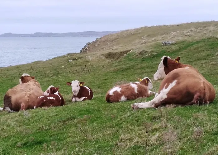 לינה וארוחת בוקר Madra Rua Organic בליליפין