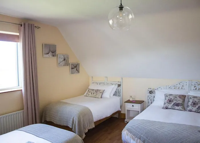 Madra Rua Organic 3* בליליפין