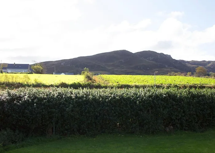 Madra Rua Organic לינה וארוחת בוקר