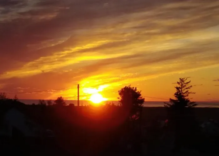 Madra Rua Organic 3*