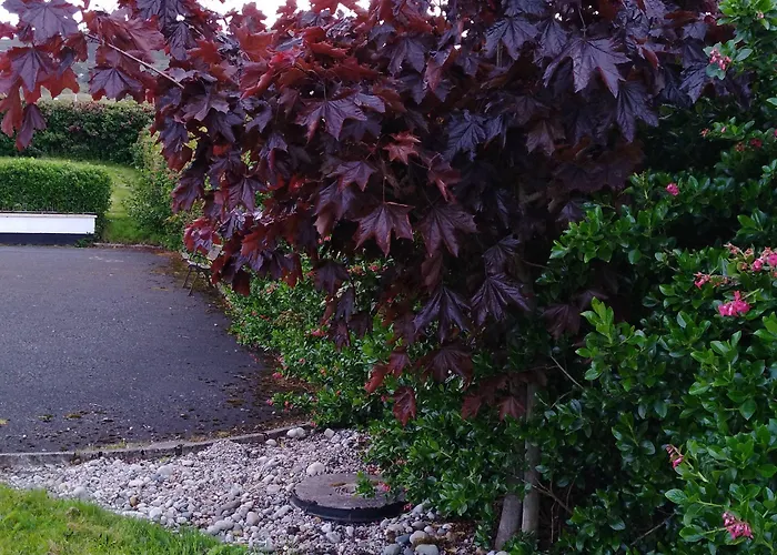 Madra Rua Organic Frühstückspension 3*