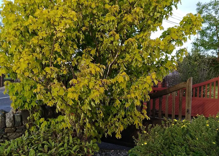 Madra Rua Organic לינה וארוחת בוקר