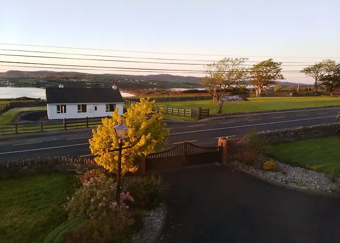 Madra Rua Organic 3*