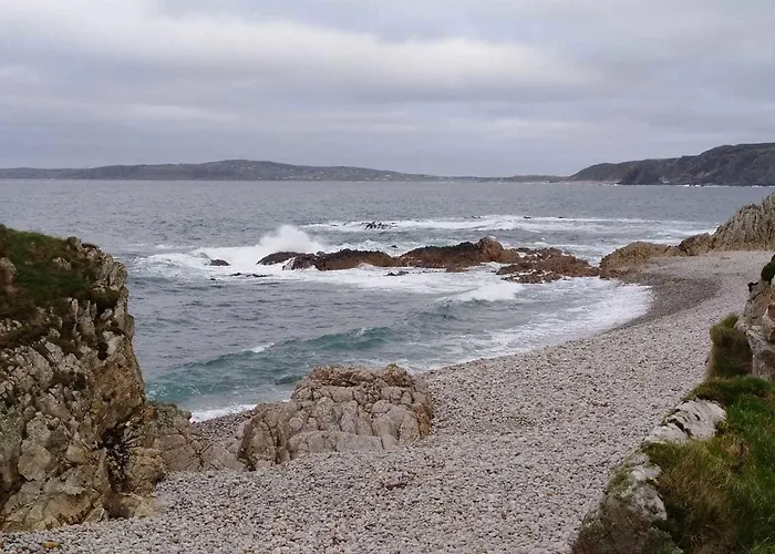 Madra Rua Organic 3* Ballyliffin