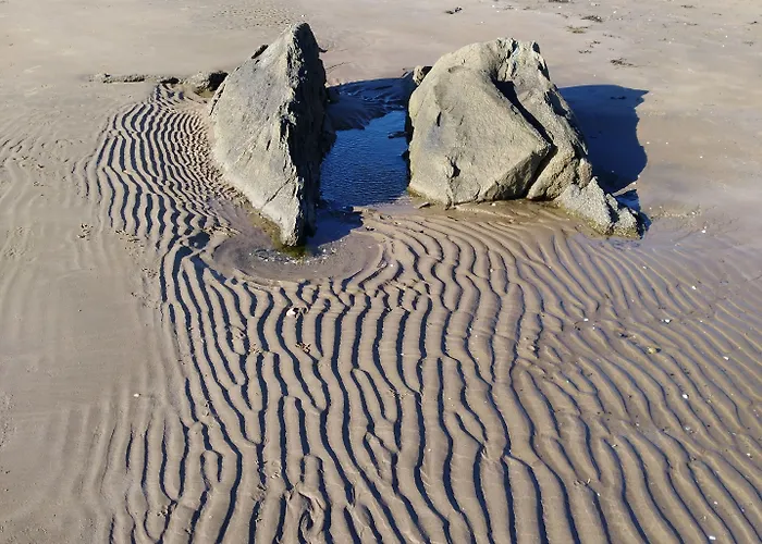 Madra Rua Organic 3*