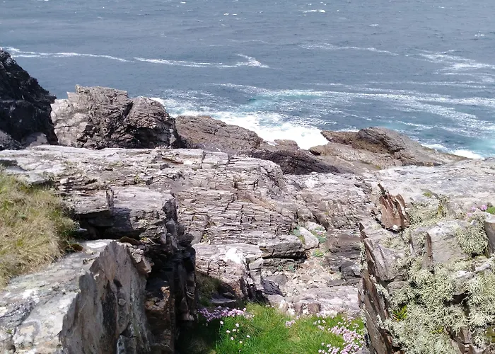 Madra Rua Organic בליליפין